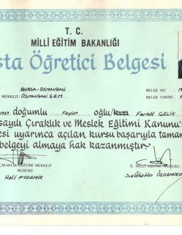 Usta Öğretici Belgesi